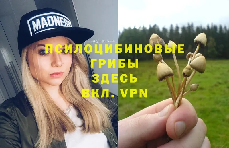 Псилоцибиновые грибы MAGIC MUSHROOMS  мега ТОР  Абаза 